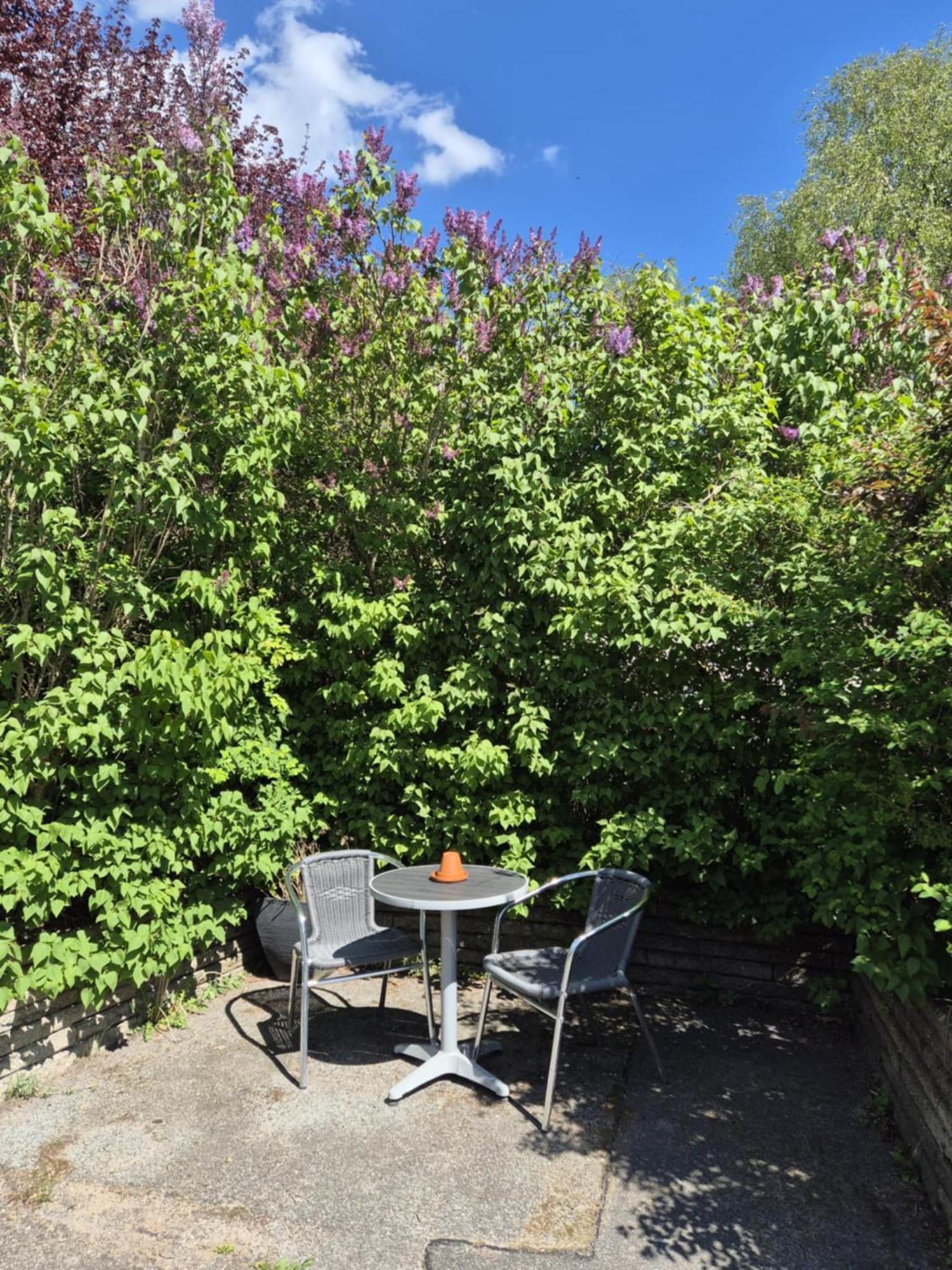Guest house Panorama Wees