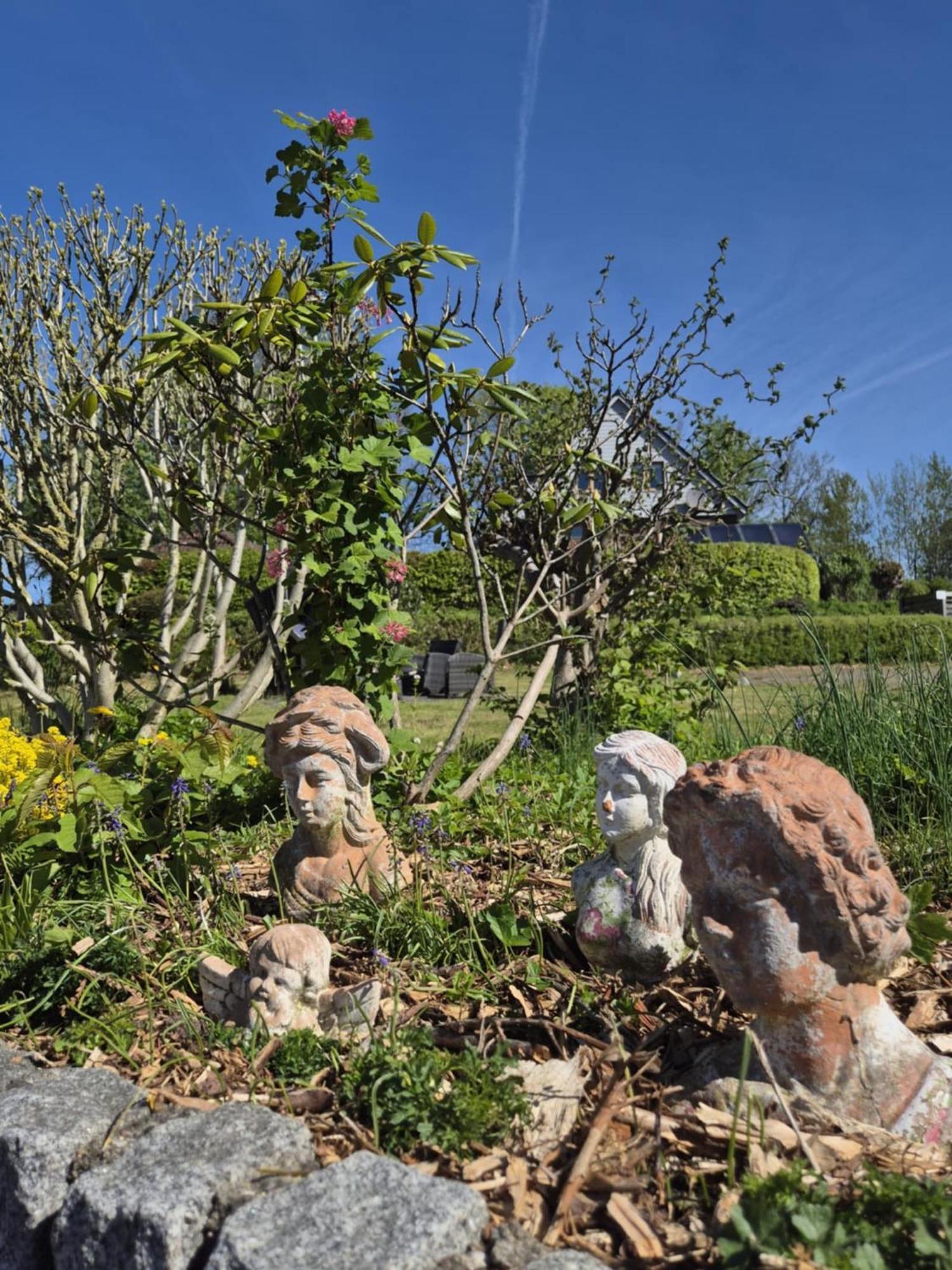 Panorama Gasthuis Wees